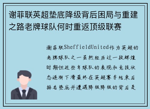 谢菲联英超垫底降级背后困局与重建之路老牌球队何时重返顶级联赛